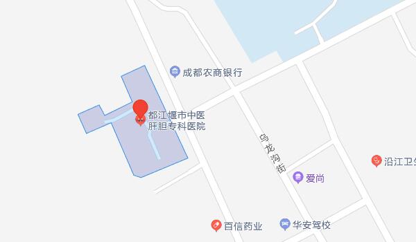 6003509.jpg